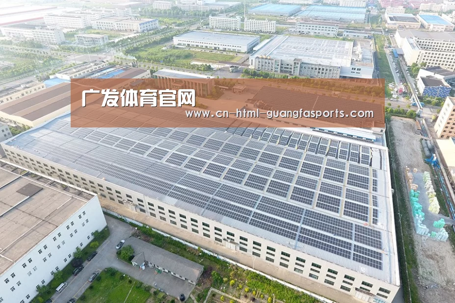 案例展示二