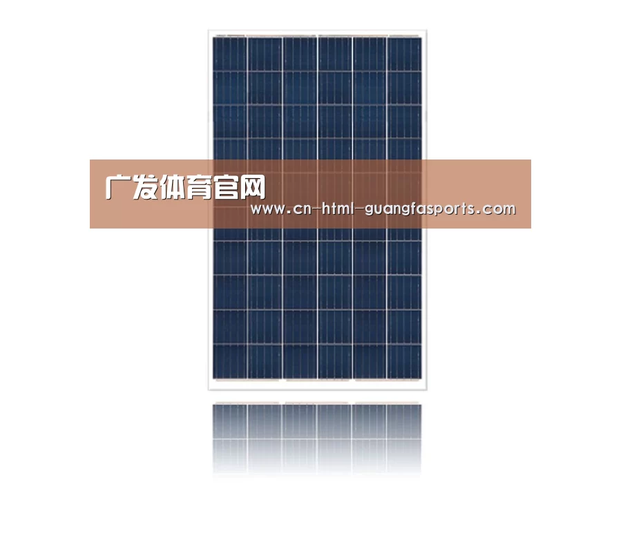 产品名称一