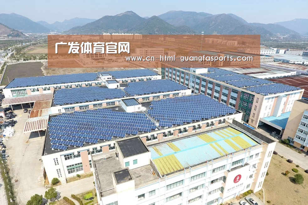 案例展示一