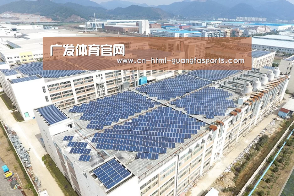 案例展示四