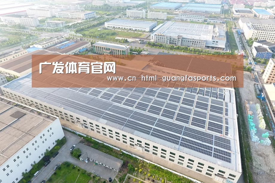 案例展示二