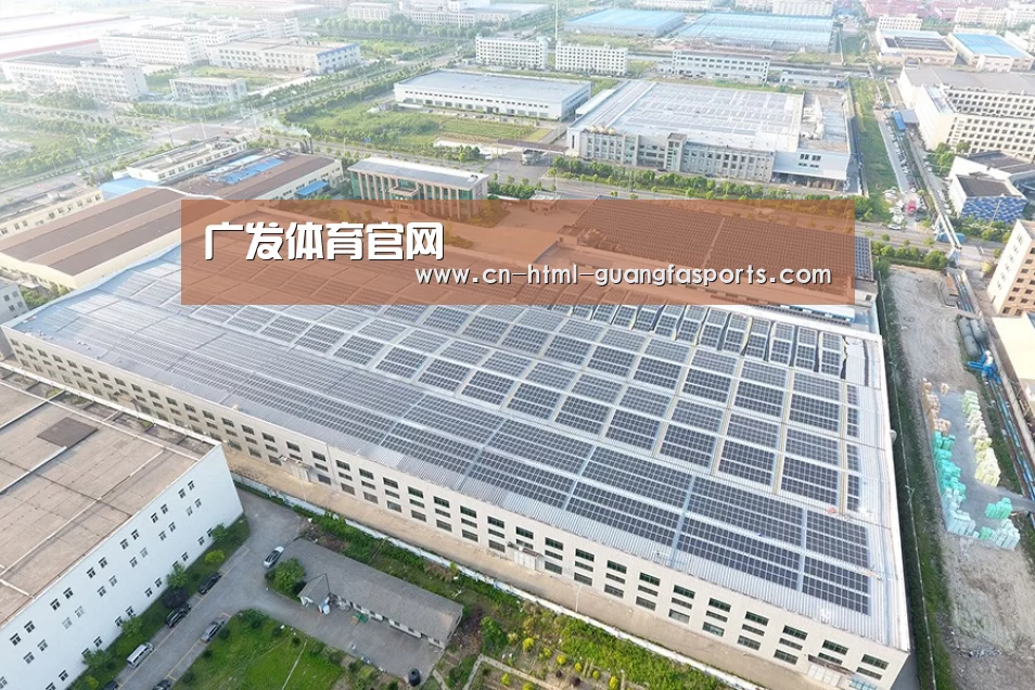 案例展示三