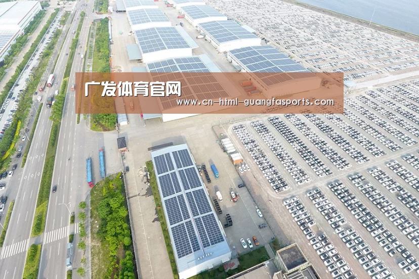 案例展示一