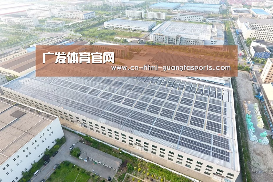 案例展示四