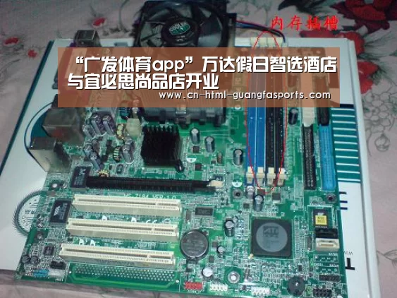 广发体育app