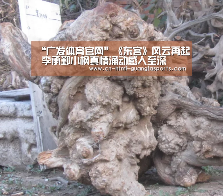 广发体育