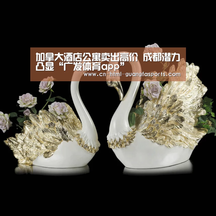 广发体育
